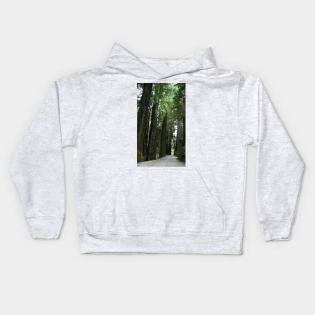 Redwood Trail - Crescent City, CA Kids Hoodie by searchlight